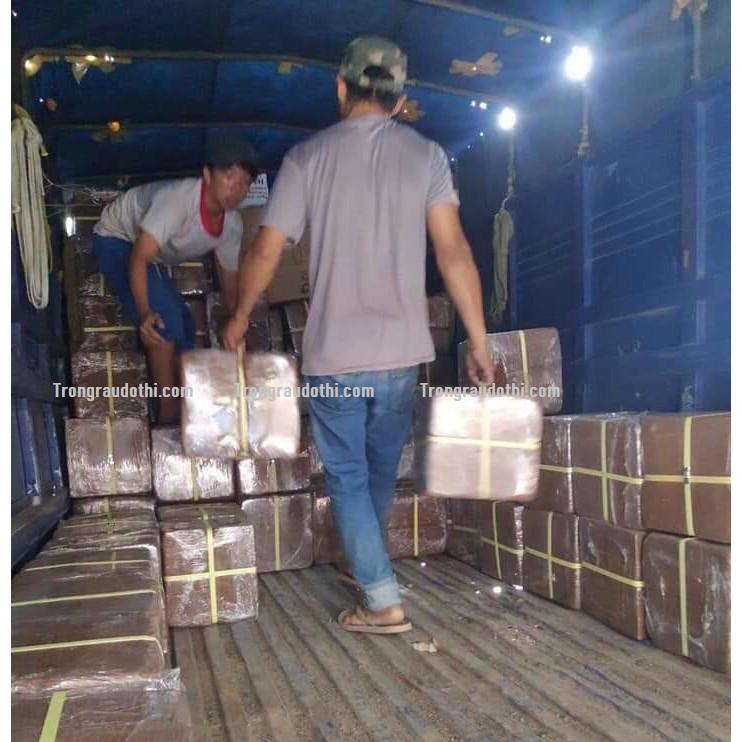 Mùn dừa ép bánh 5kg đã xử lý nở ra được khoảng 20-25kg, trồng rau mầm, ươm cây, giâm chiết cành..