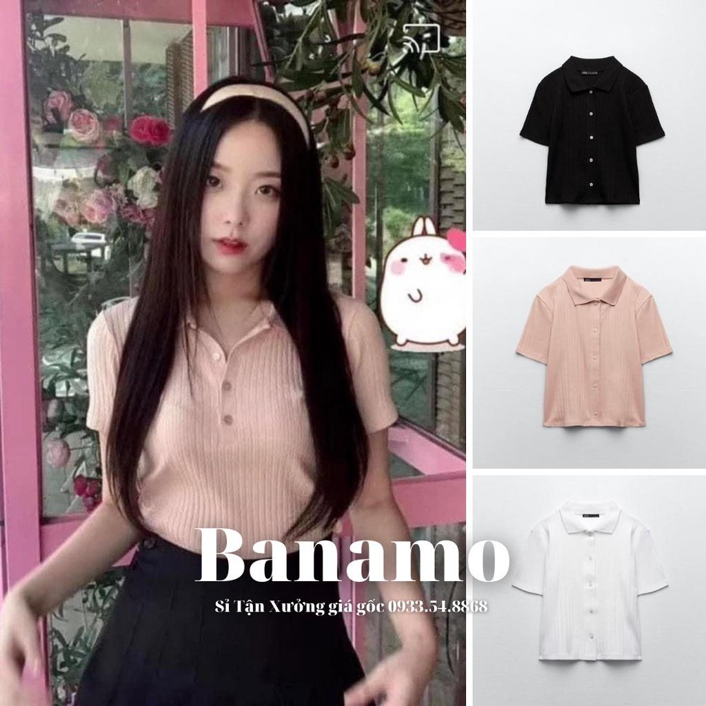 Áo polo 3 màu chất thun tăm siêu đẹp thời trang Cộc polo tăm to 3 màu 3413