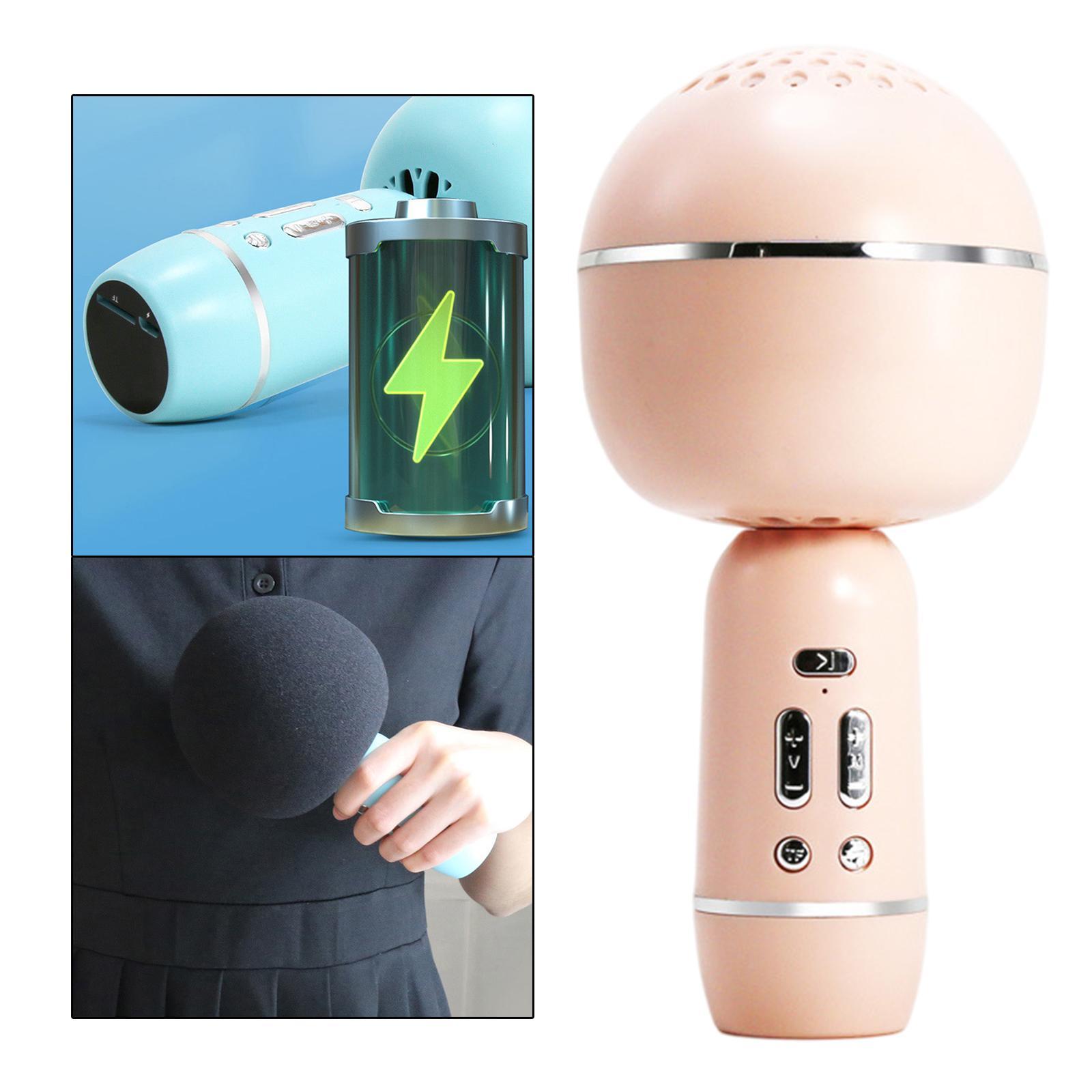 Portable Wireless Microphone Karaoke Speaker Karaoke Machine