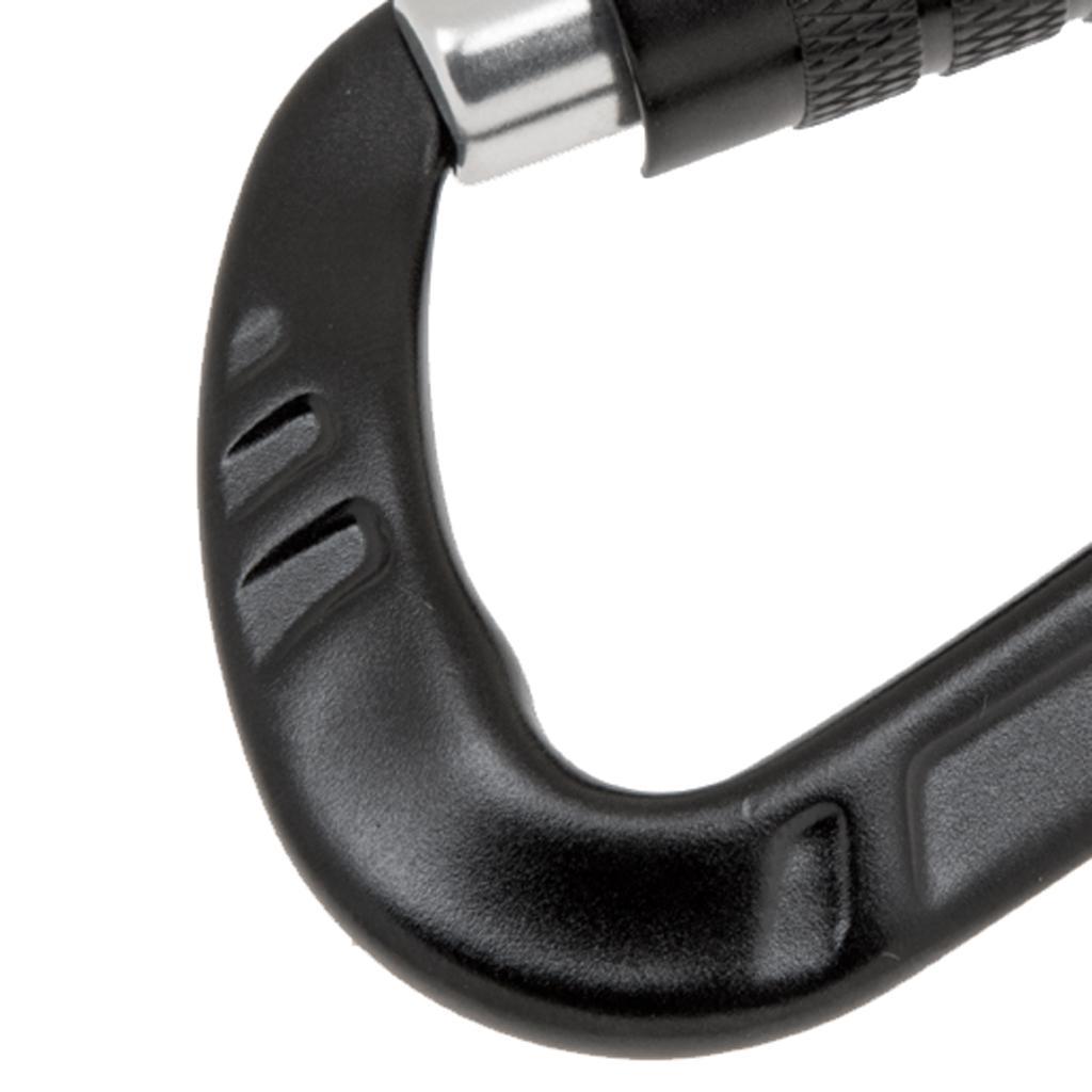 2x12KN D Shape Carabiner Screw Locking Clip Hook Keychain