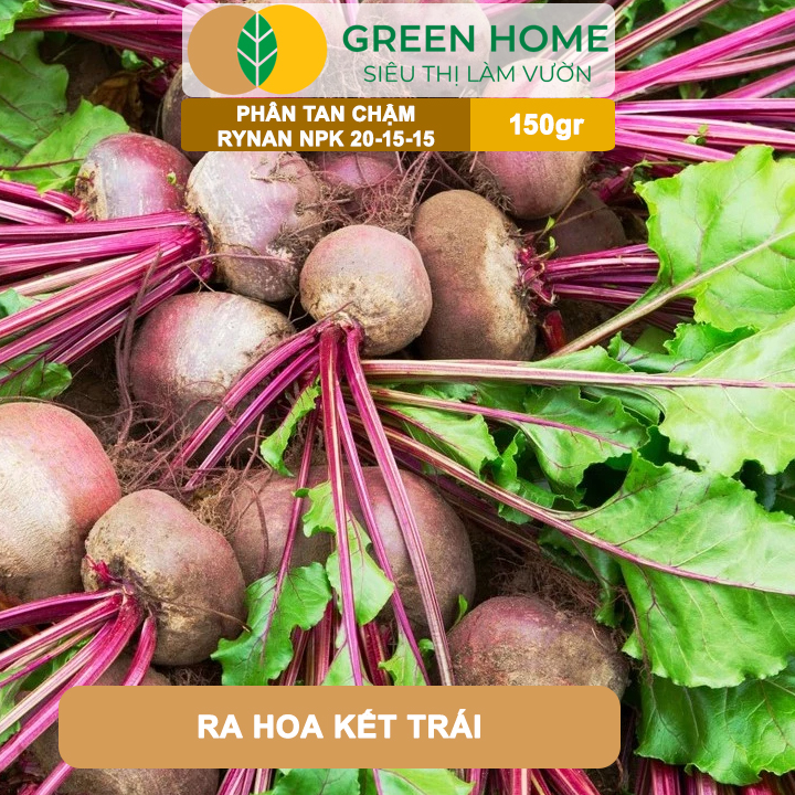 Phân Tan Chậm GreenHome, Rynan NPK 20-15-15, Hũ 150gr,Dùng Cho Loại Cây Họ Leo Bầu Bí, Mướp, Dưa Leo