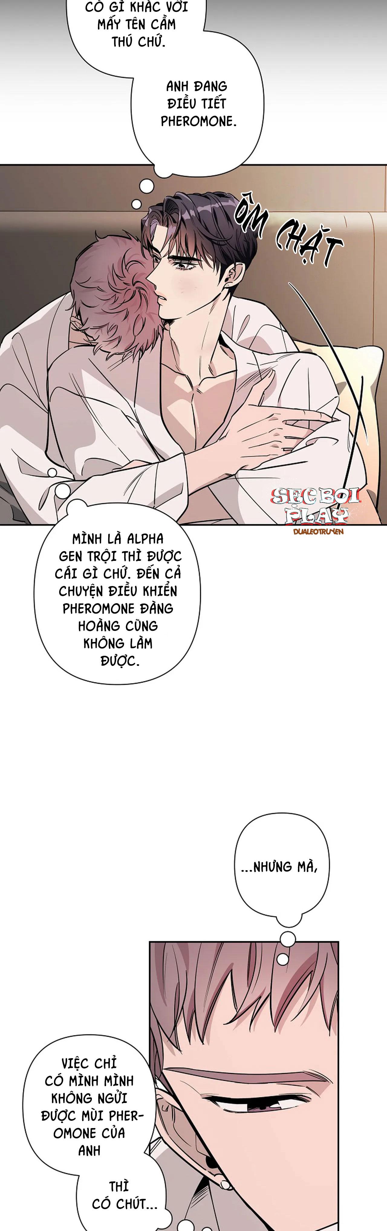 đêm dịu dàng chapter 21 23