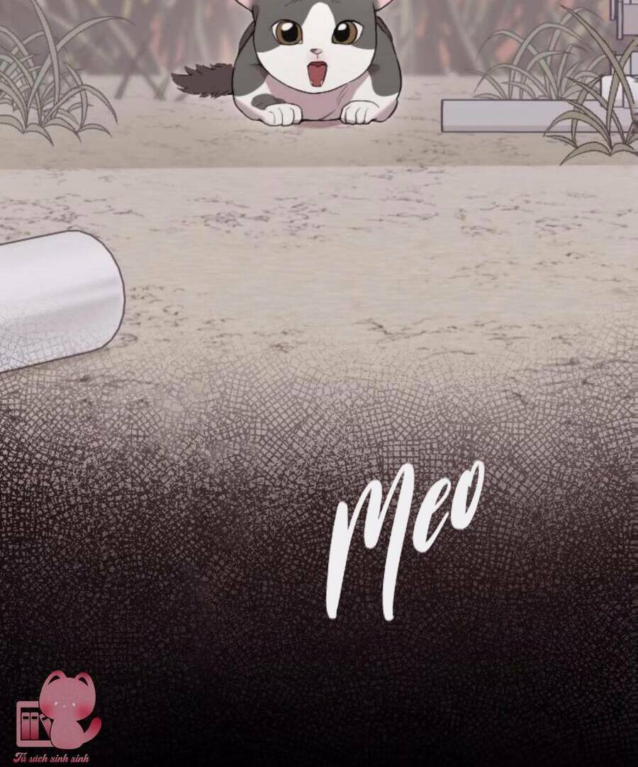 cô đi mà lấy chồng tôi đi chapter 67 14