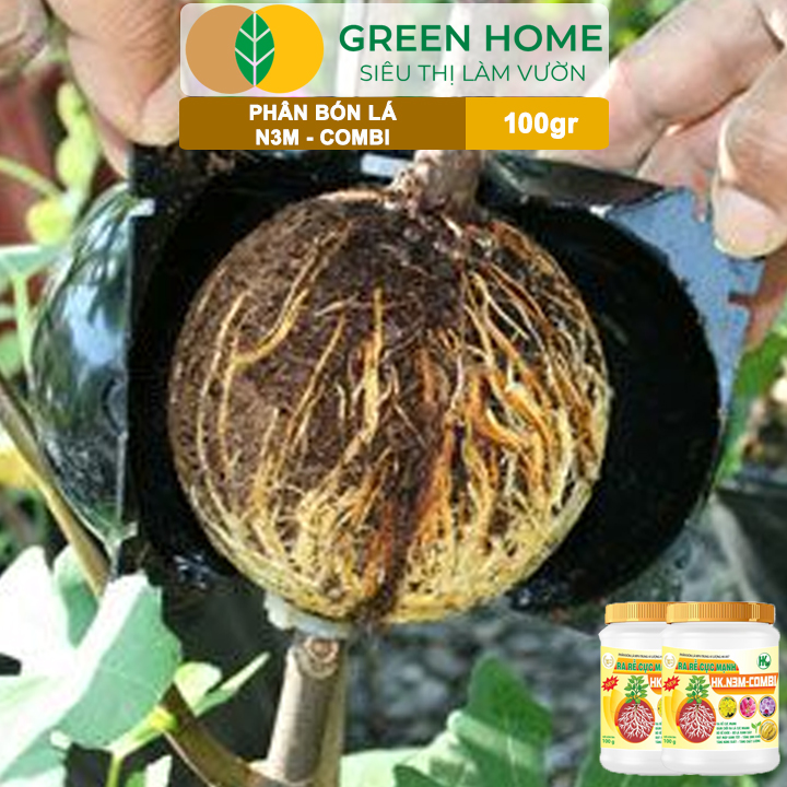 Phân Bón Lá Greenhome, N3M Combi, Hũ 100gr, Ra Rễ Cực Mạnh Dùng Giâm, Chiết Cành, Ngâm Hạt, Kiểng