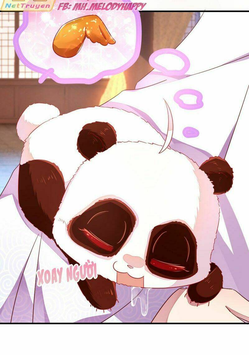 thiên thần gấu trúc muốn được ôm chapter 40 13