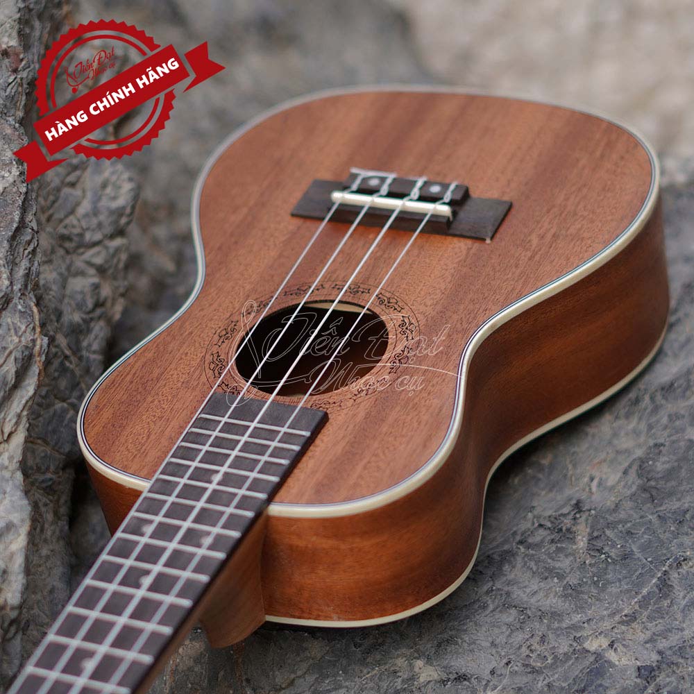 Đàn Ukulele Concert Chard WD-24THX, Màu nâu nổi bật, Mặt đàn Gỗ gụ - Hàng chính hãng