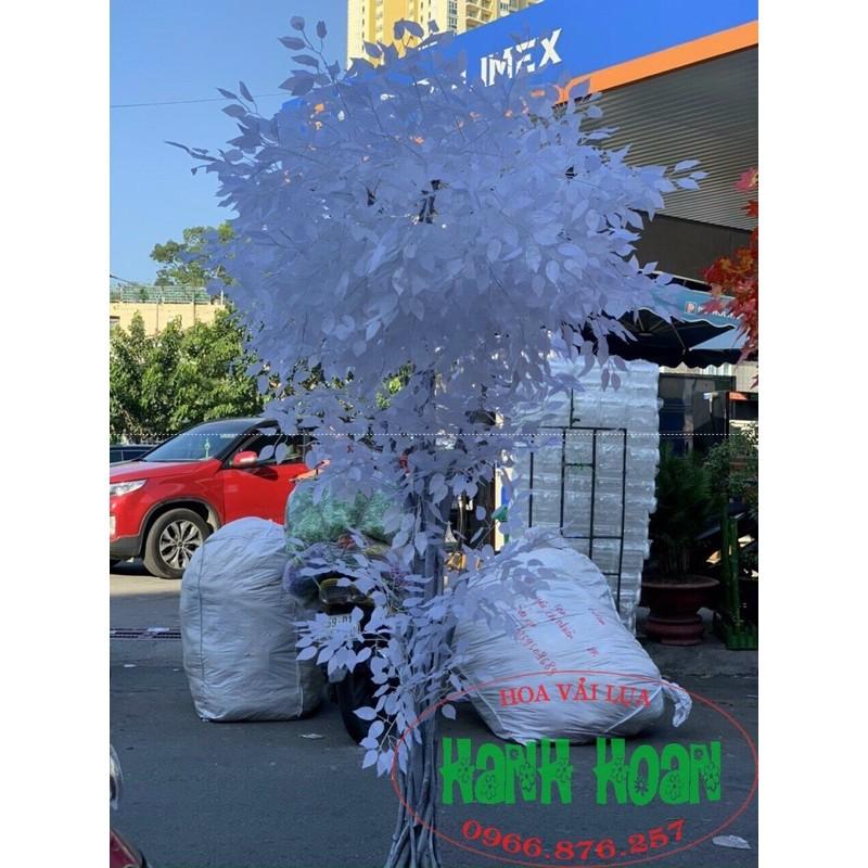 Combo 10 Cành lá si trắng làm cây giả - Lá giả