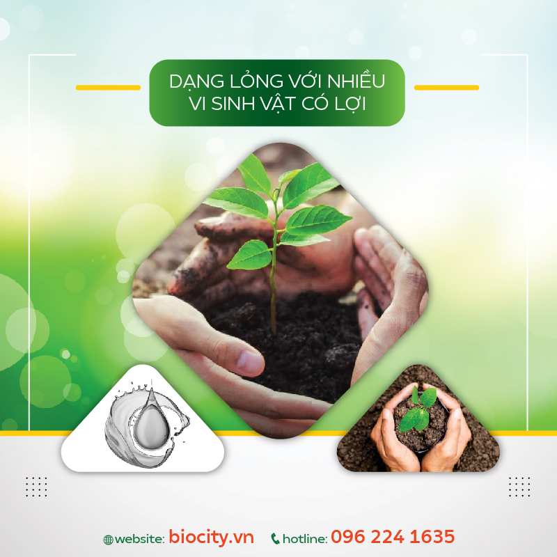 Chế phẩm sinh học giúp phục hồi đất nhiễm mặn, nâng pH đất - Fresh Soil 500ml