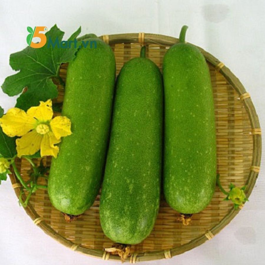 Bầu