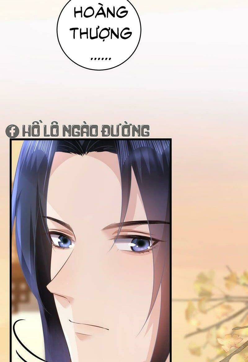 quận chúa vững vàng, thiết lập nhân vật không thể vỡ chapter 63 16