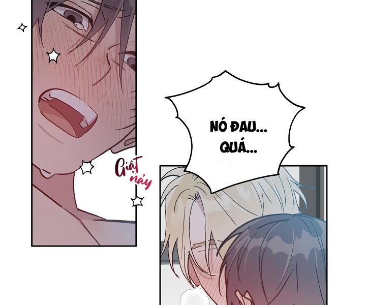 chàng tuấn mã của tôi chapter 38 65