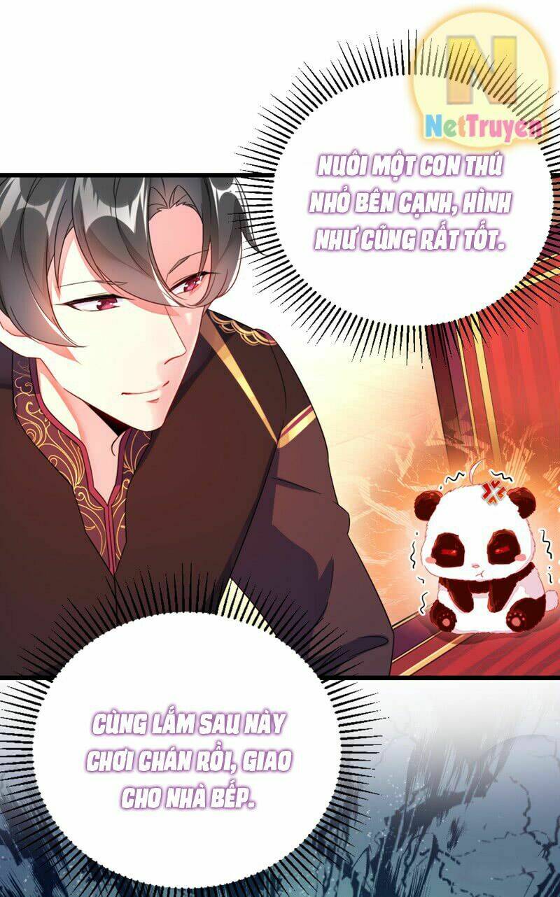 thiên thần gấu trúc muốn được ôm chapter 12 17