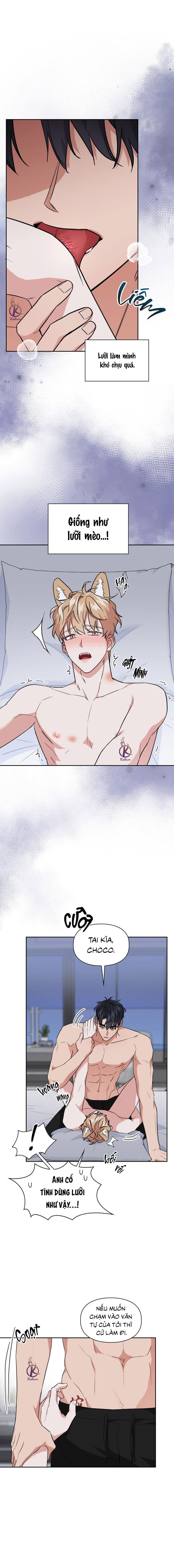 mồi nhử chapter 62 4