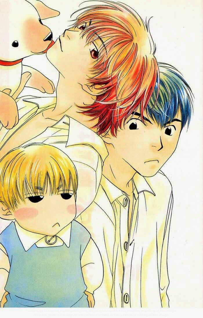 sukijanai kedo aishiteru chapter 11.5 9