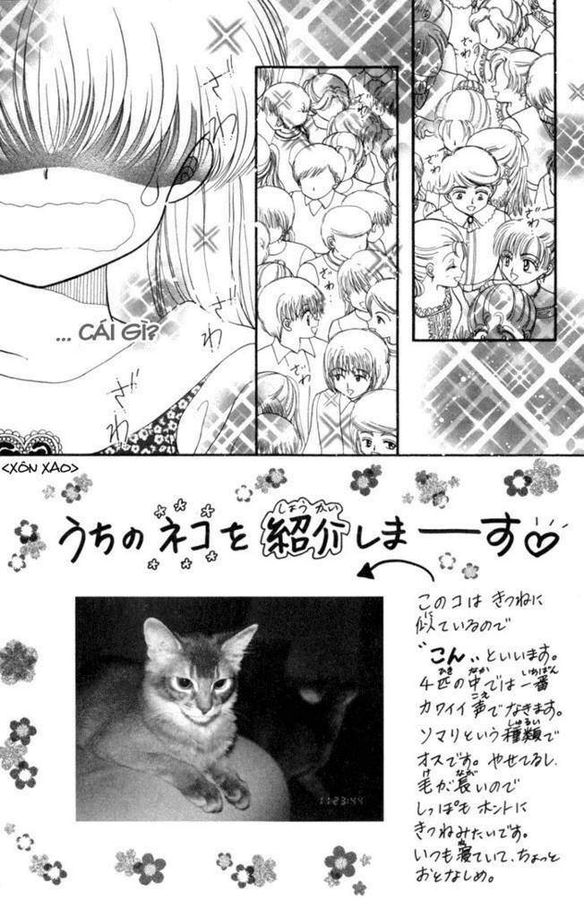 daa! daa! daa! chapter 29 2