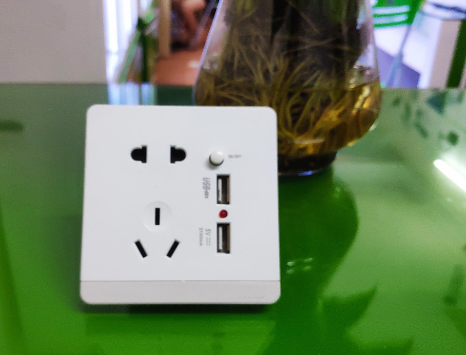 Ổ Cắm Điện Chống Giật 2 Cổng USB TK-2U2P1S