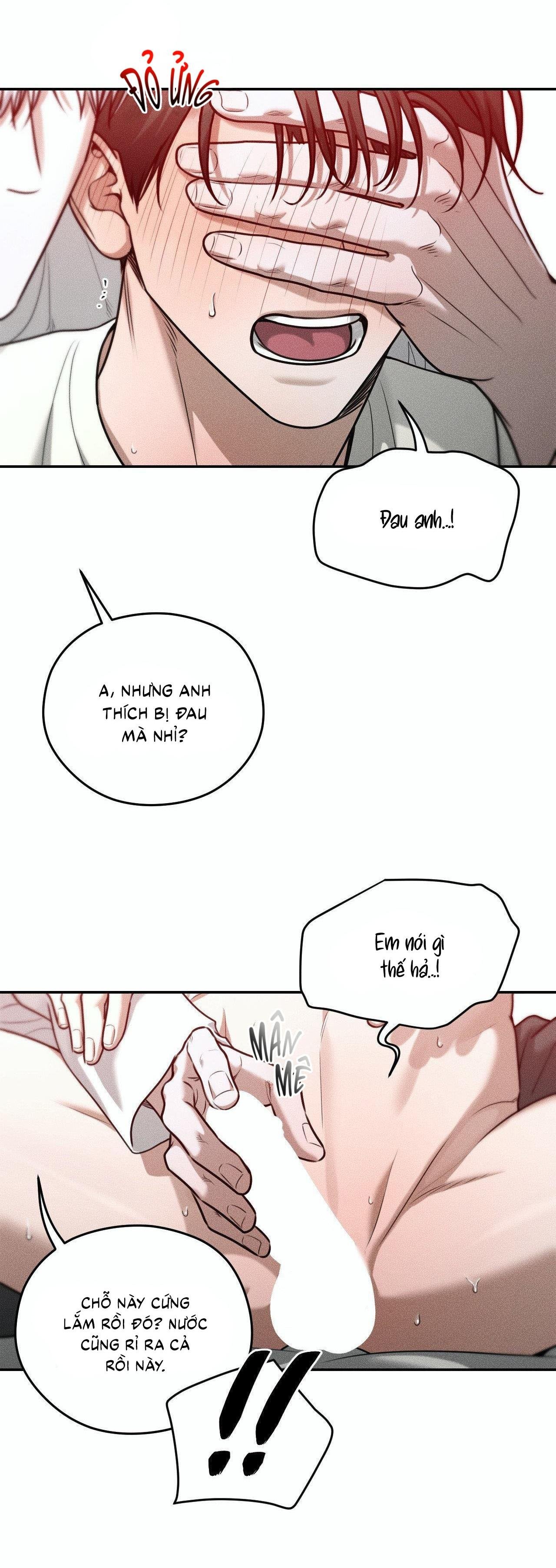 gấu teddy thân yêu chapter 35 38