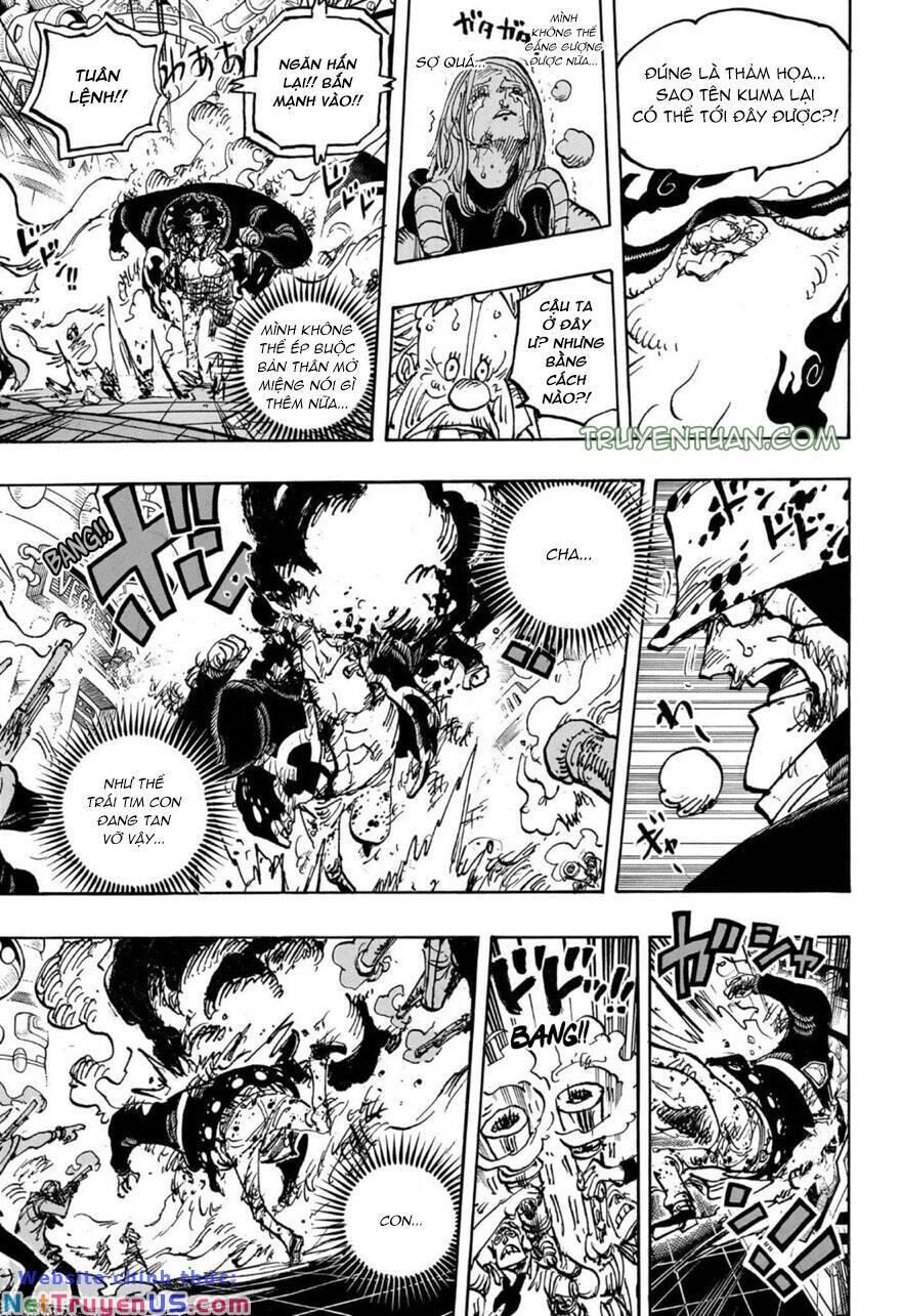 đảo hải tặc - one piece chapter 1103 14