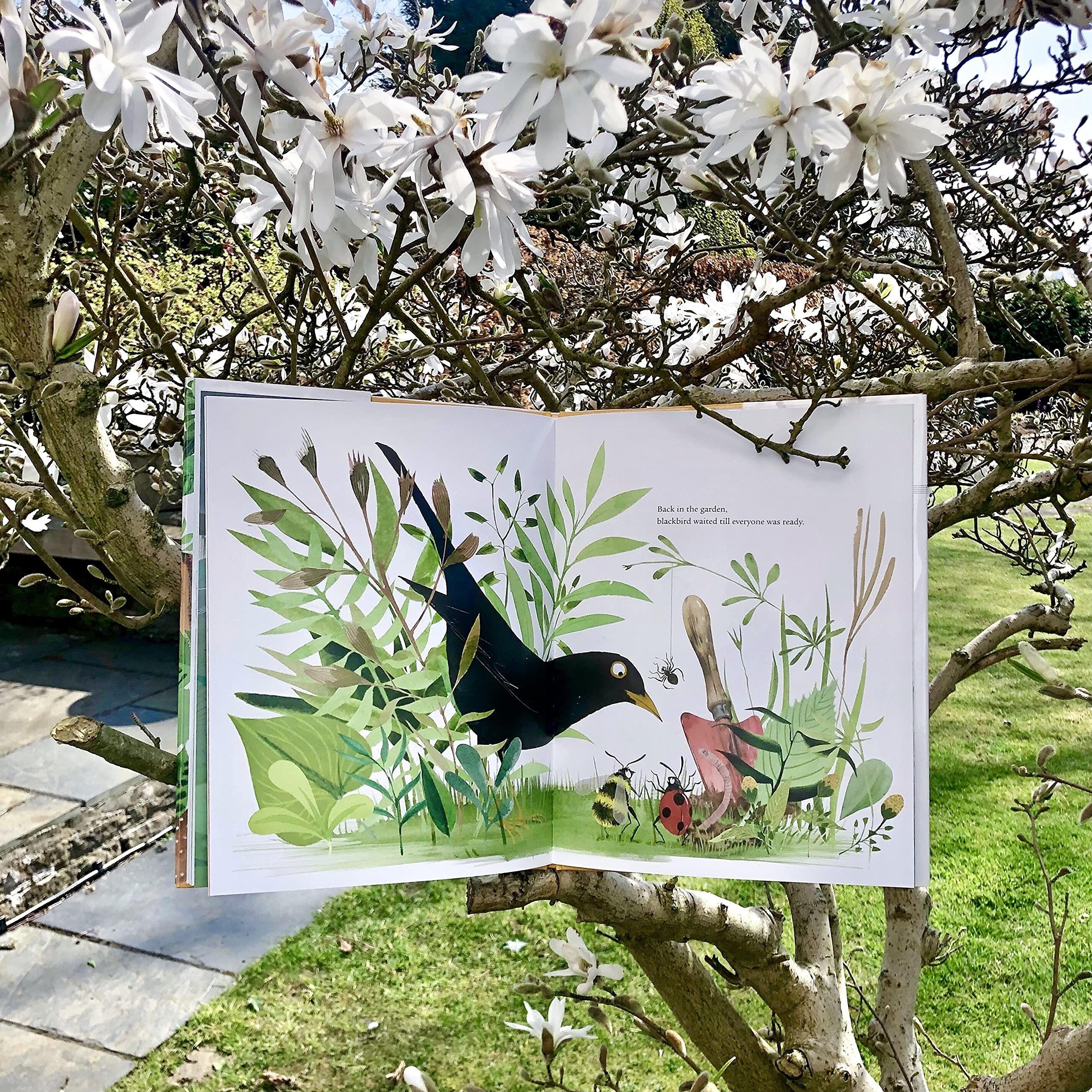 Sách - A Song of Gladness : A Story of Hope for Us and Our Pla by Michael Morpurgo EMILY GRAVETT