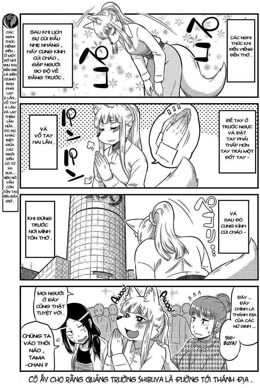 high school inari tamamo-chan ! chapter 8 4