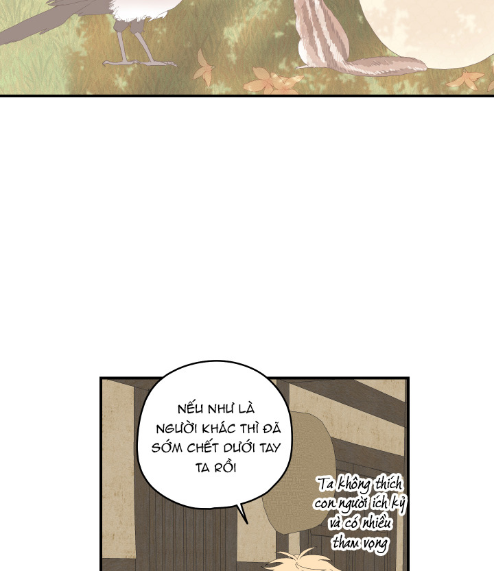 đường hoa liên kiều rơi chapter 22 73