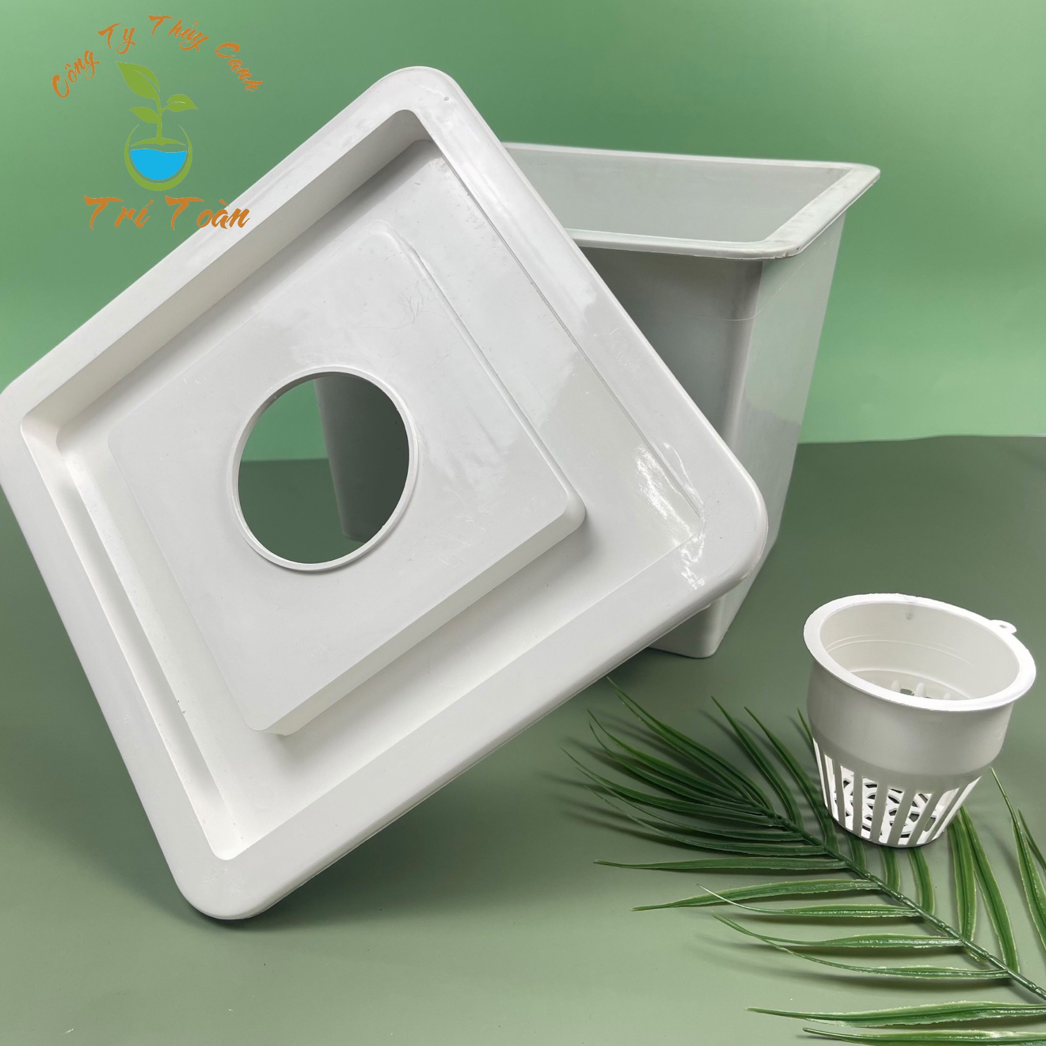 Thùng nhựa, chậu nhựa trồng thủy canh tĩnh cây ăn trái