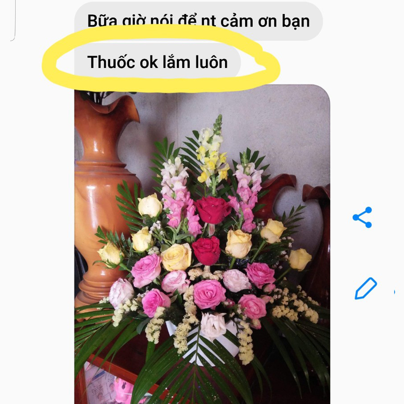 Shop Hoa Bảo Quản Hoa Cắm Lẵng, Hoa Cắm Xốp lâu tàn và hạn chế thay hoa định kỳ bằng Bột Dinh Dưỡng Hoa nhập khẩu Israel hiệu Longlife SG Của Israel