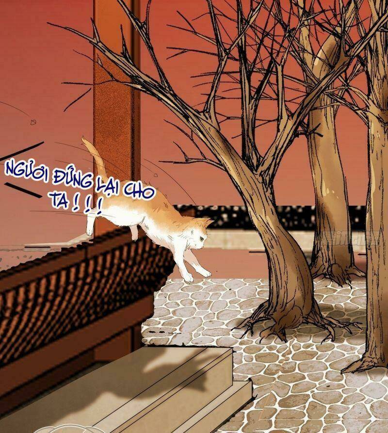 sát thủ vương phi không dễ chọc chapter 38 45