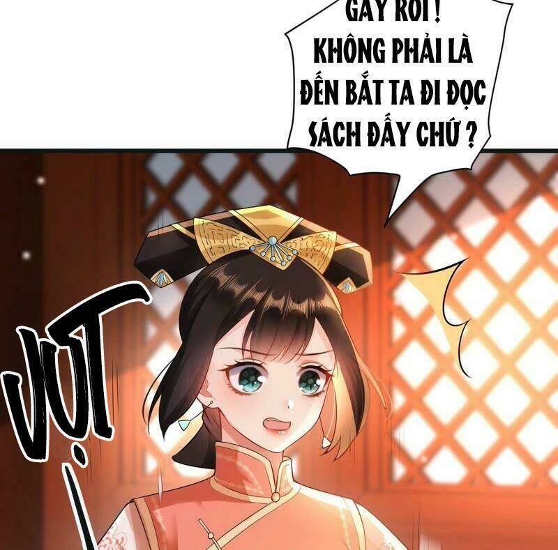 quận chúa vững vàng, thiết lập nhân vật không thể vỡ chapter 54 32