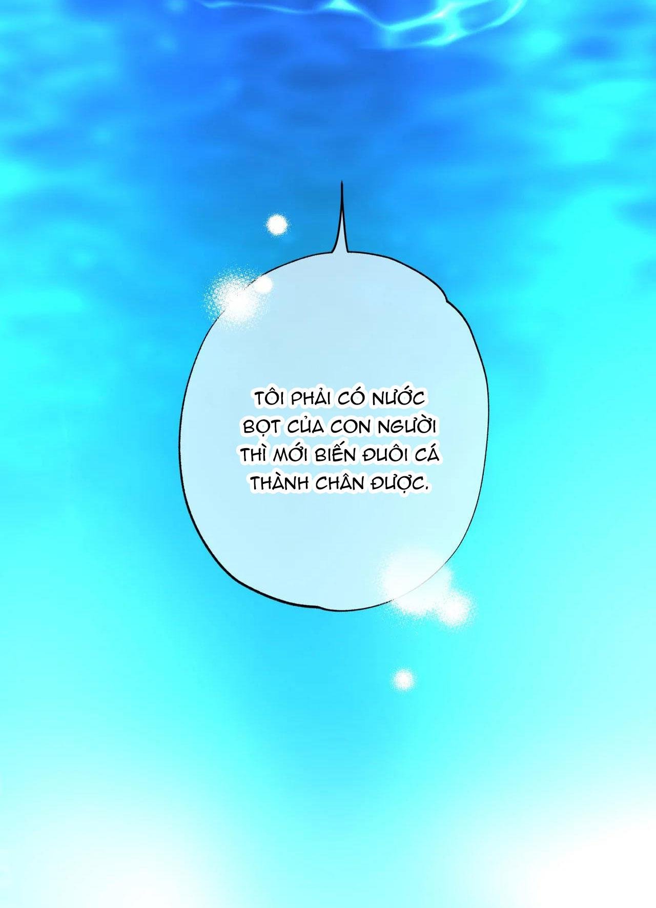 mỹ nhân ngư chapter 2 58