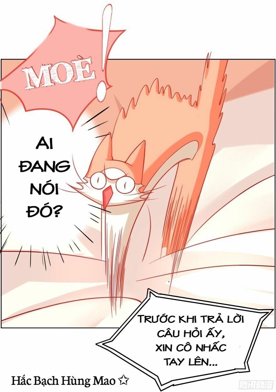 chủ nhân là ảnh đế chapter 1.5 13