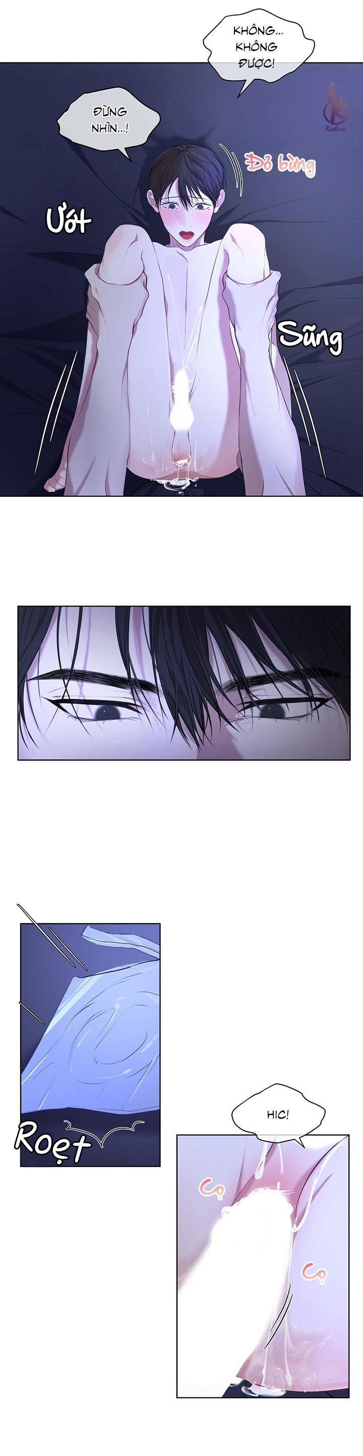 hình thái khởi sinh chapter 9 9