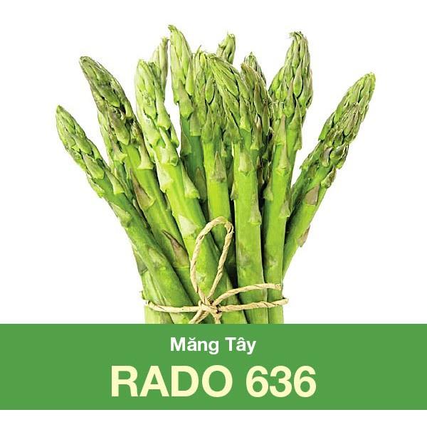 Hạt Giống Măng Tây Xanh Rado 636 0.2gr - RẠNG ĐÔNG - năng suất ổn định 1 năm  và có thể kéo dài từ 2-3 năm