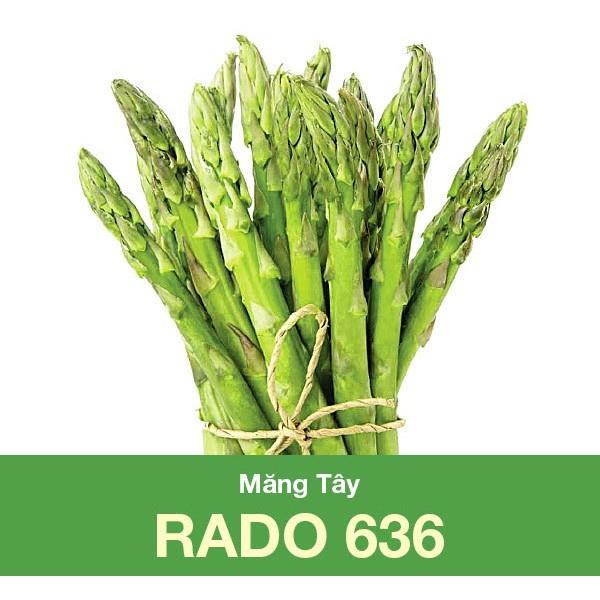 Hạt Giống Măng Tây Xanh Rado 636 0.2gr - RẠNG ĐÔNG - năng suất ổn định 1 năm (sau gieo) và có thể kéo dài từ 2-3 năm