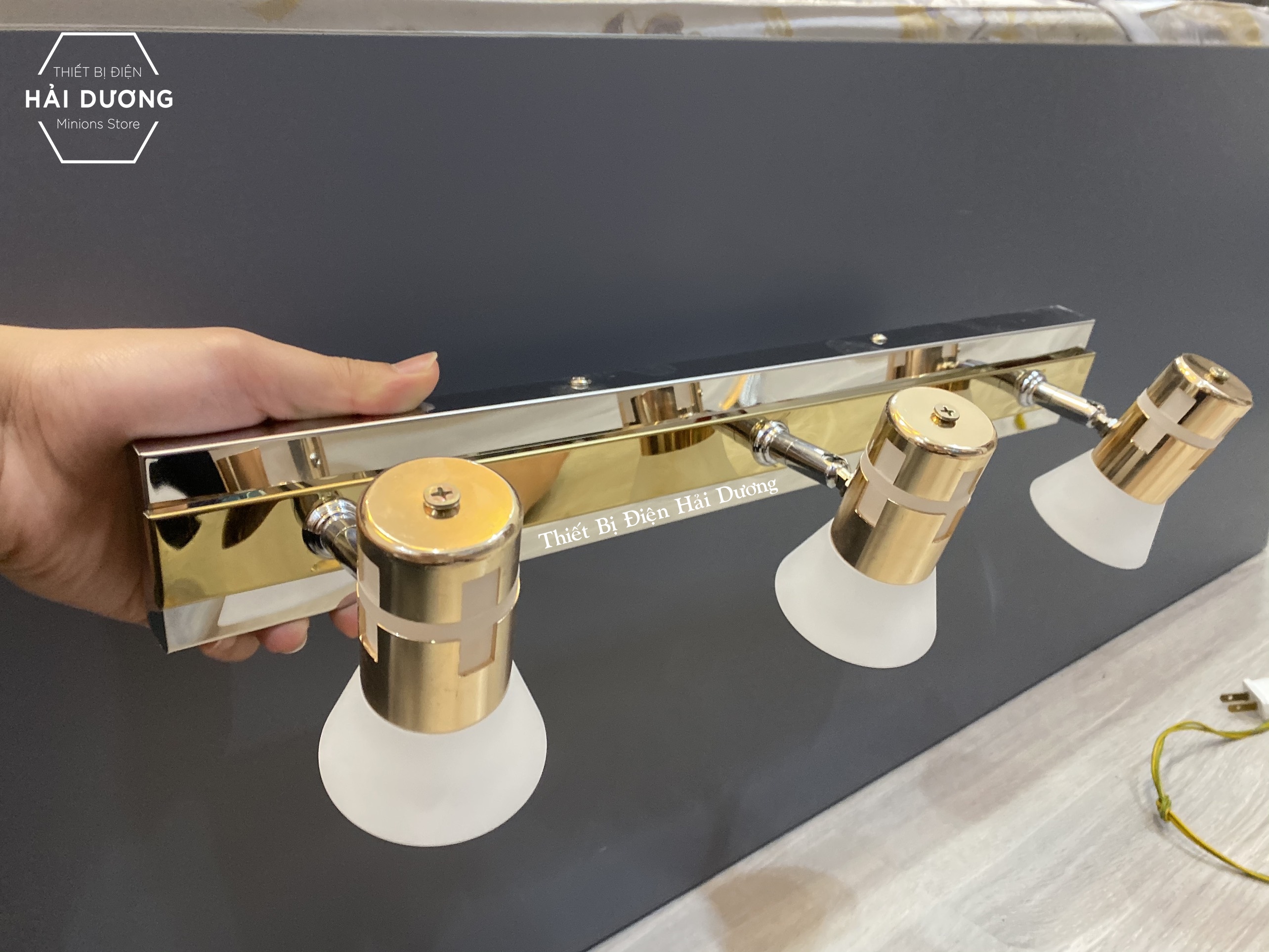 Đèn soi tranh - 3 Đèn chiếu sáng 120-3 24w Thuỷ Tinh - Điều chỉnh được góc chiếu