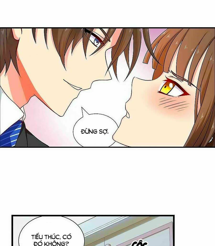 chỉ nhiễm thành hôn chapter 65 3