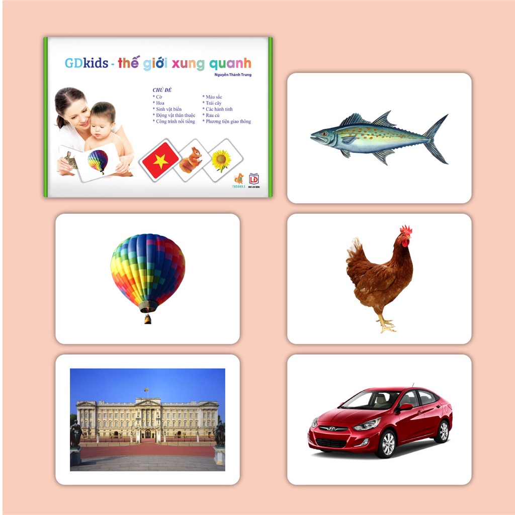 GDKIDS – Bộ Thẻ Học Thông Minh Thế giới xung quanh Glenn Doman (100 Thẻ Flashcards)