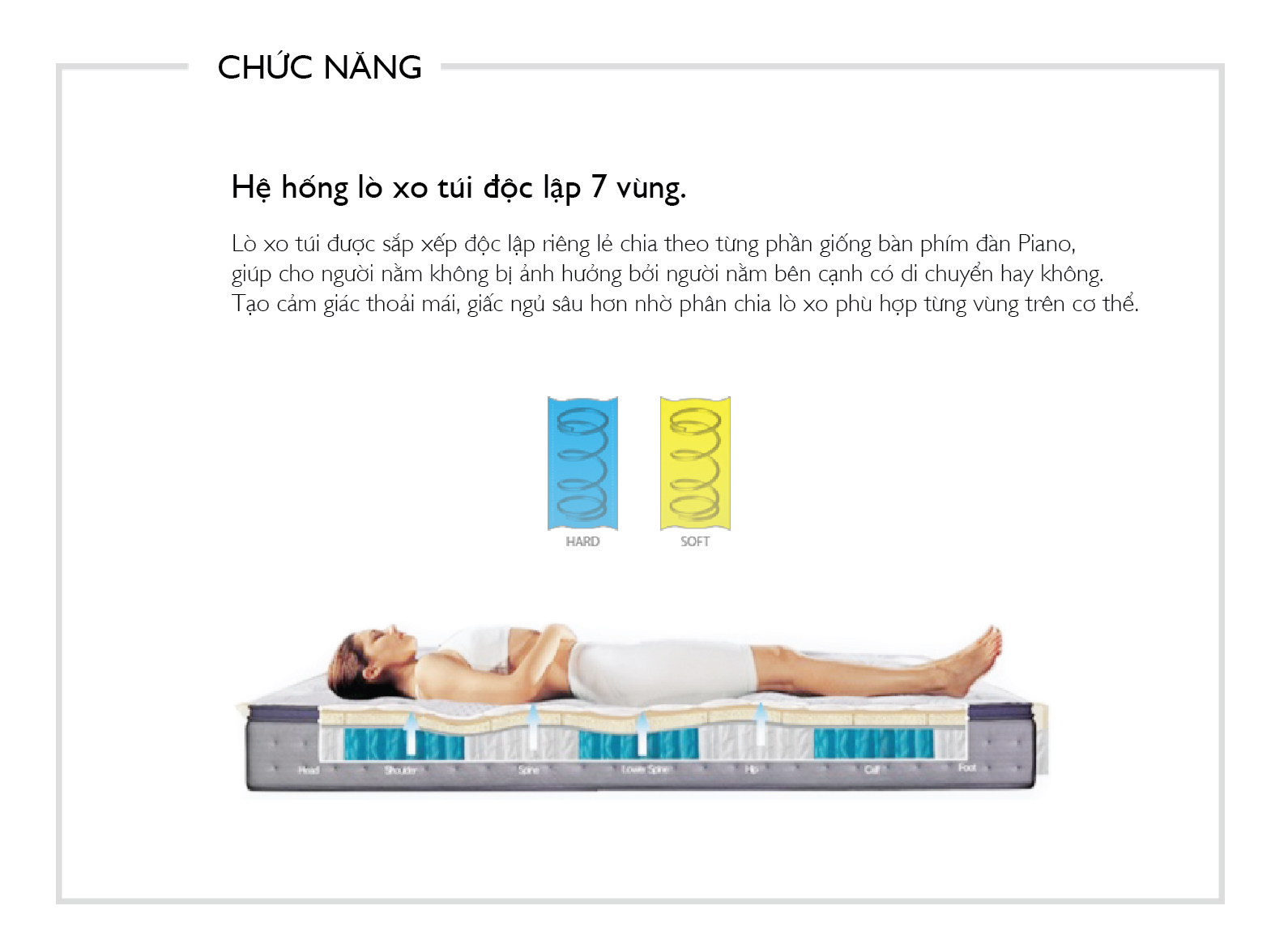Nệm Prezel 1.6m Jang In 1301500001-02