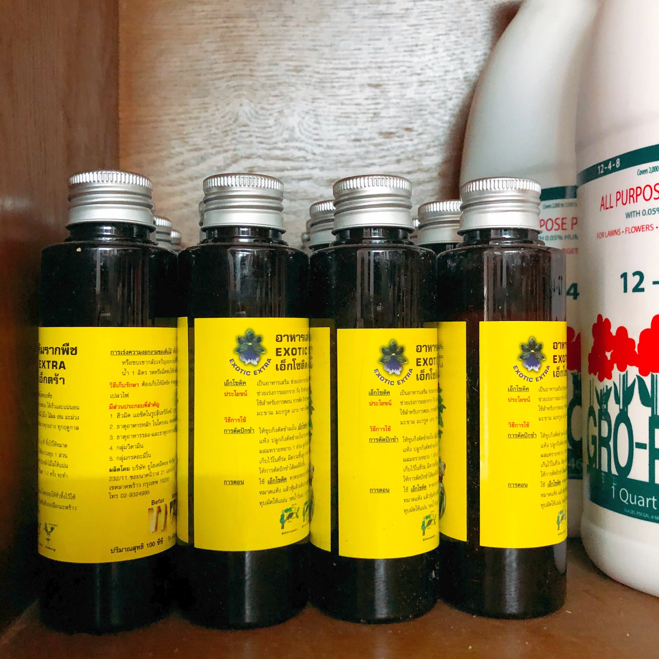Exotic thái 100ml -ra rễ mạnh - 100 ml