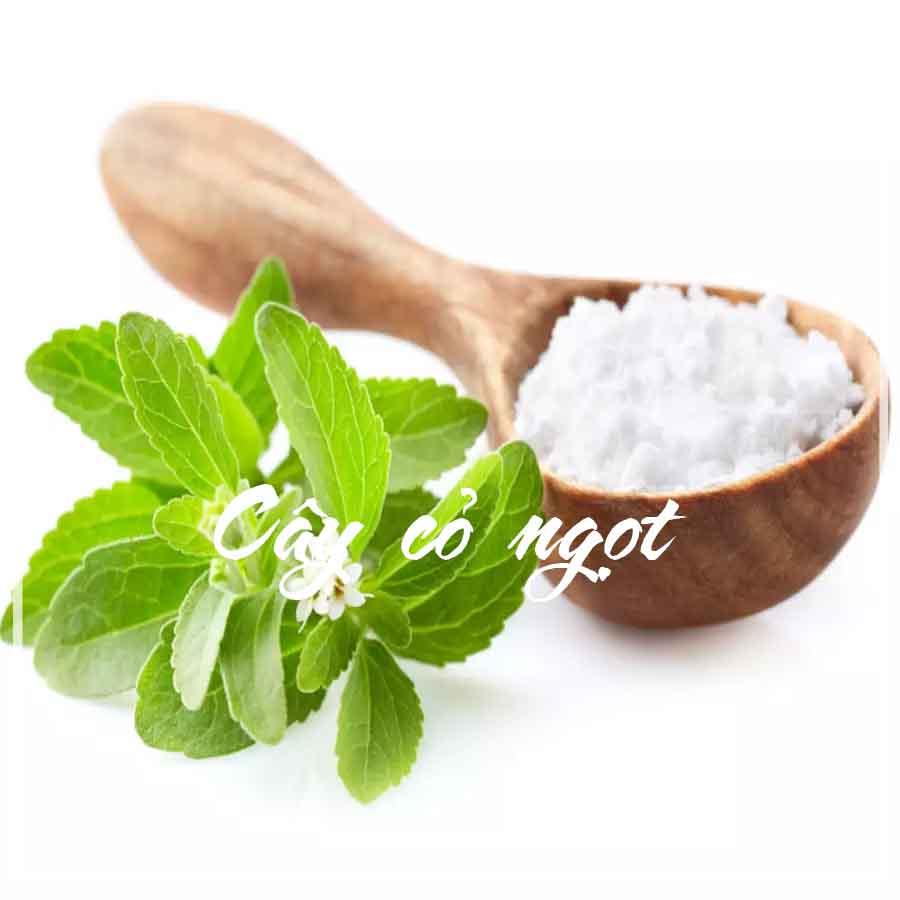 1kg Cây Cỏ Ngọt khô sạch (lá + cành)