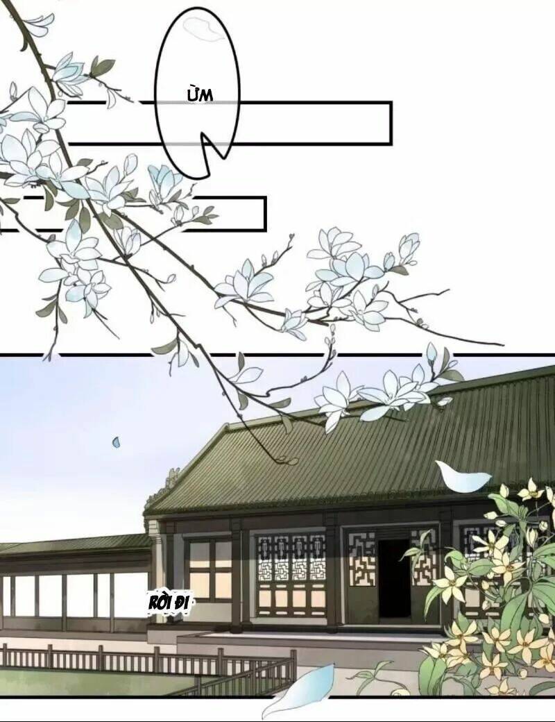 sủng phi của vương chapter 131 9