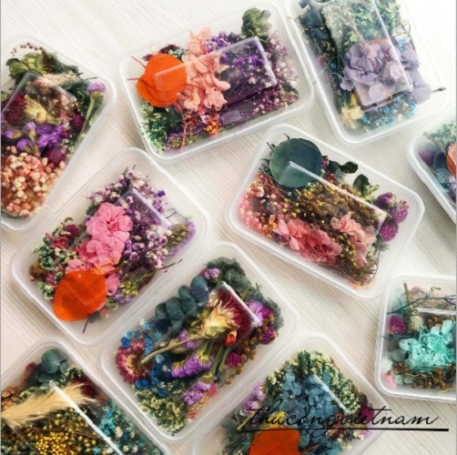 Hoa khô tổng hợp