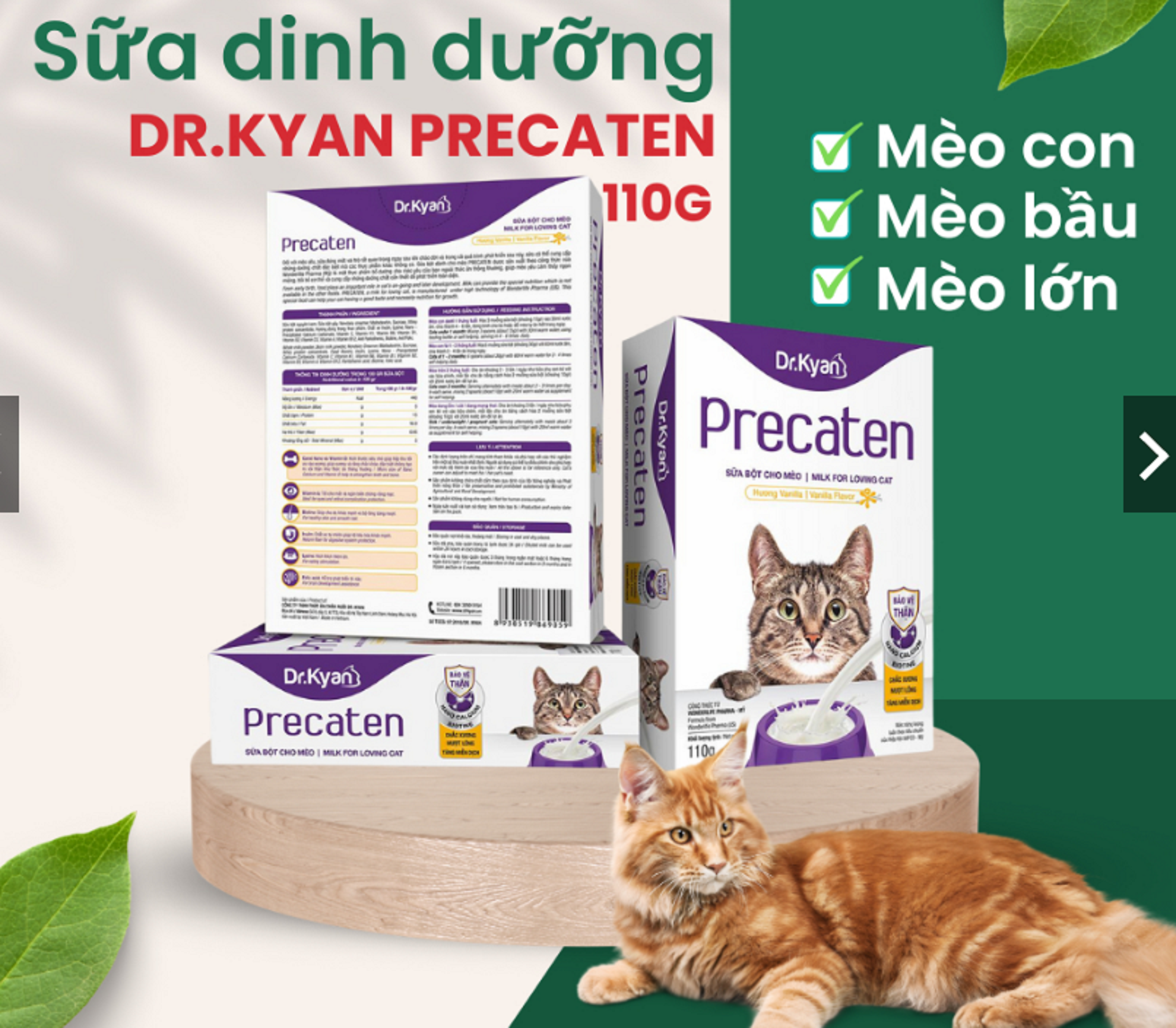 Sữa Bột Precaten Dr.Kyan Cho Mèo 110G