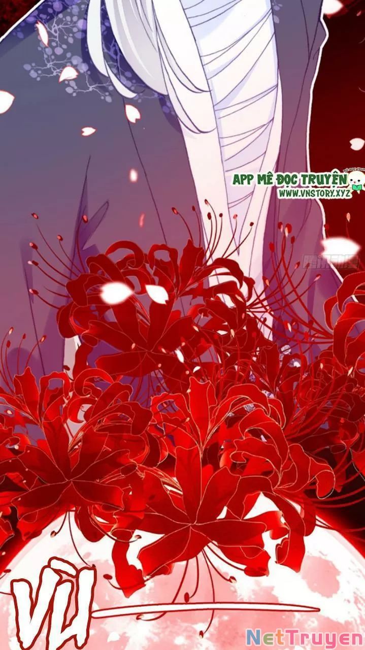 lại bị bệnh chiều chuộng quấn lấy chapter 22 55