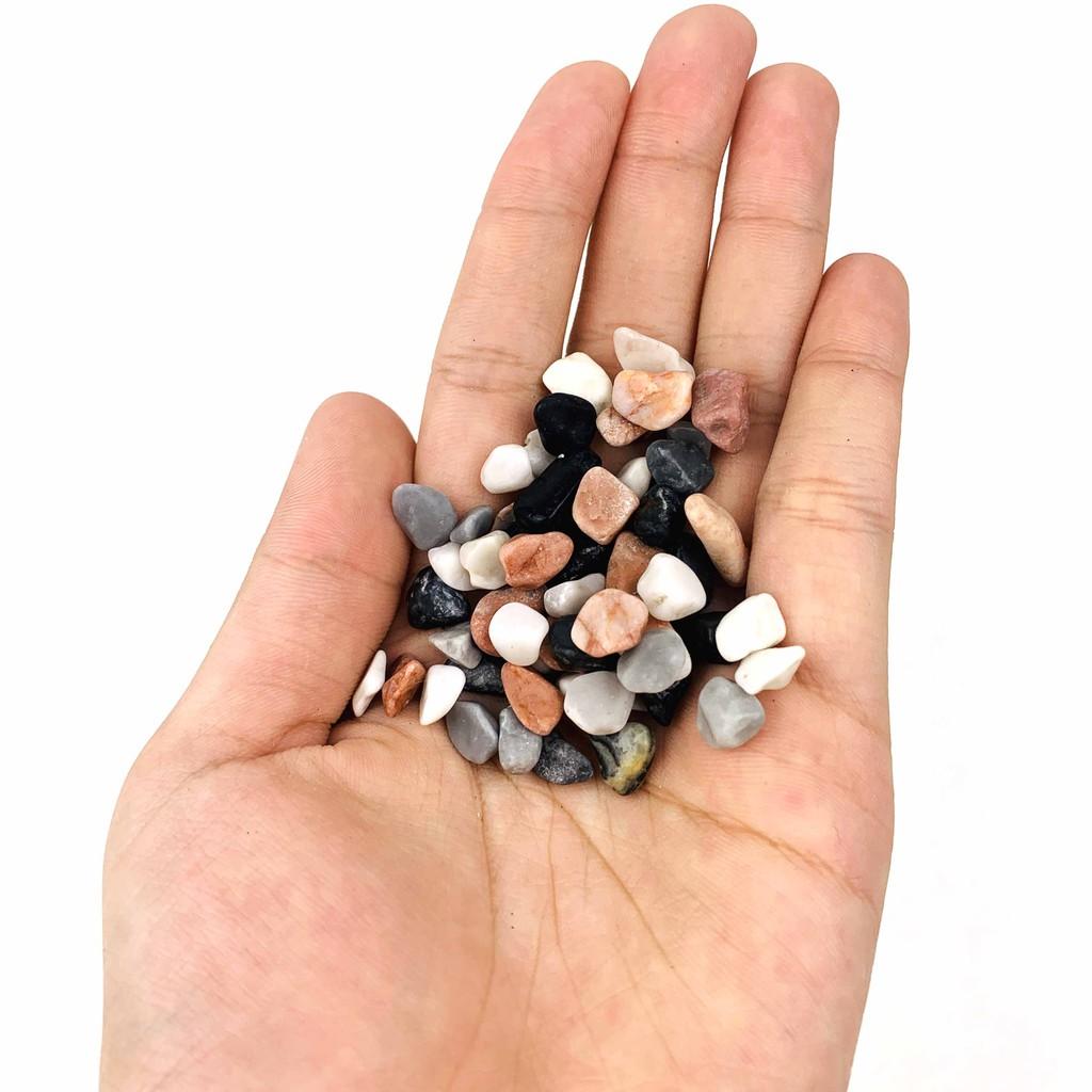 1KG Sỏi 4 Màu Trang Trí Hồ Cá, Nhà Cửa, Chậu Cây, Hoa
