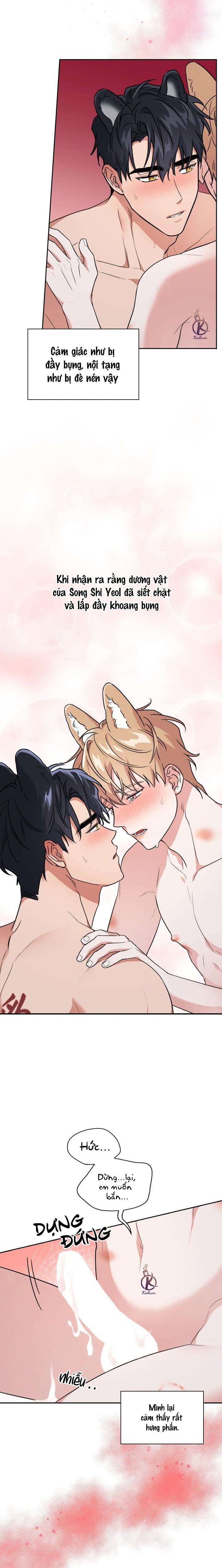 mồi nhử chapter 64 4