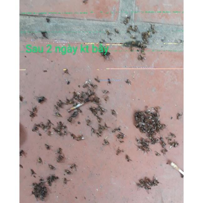 Thuốc dẫn dụ ruồi vàng