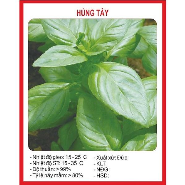 Hạt giống rau Húng tây dể trồng f1- gói 1gram--tặng kèm gói phân bón lót