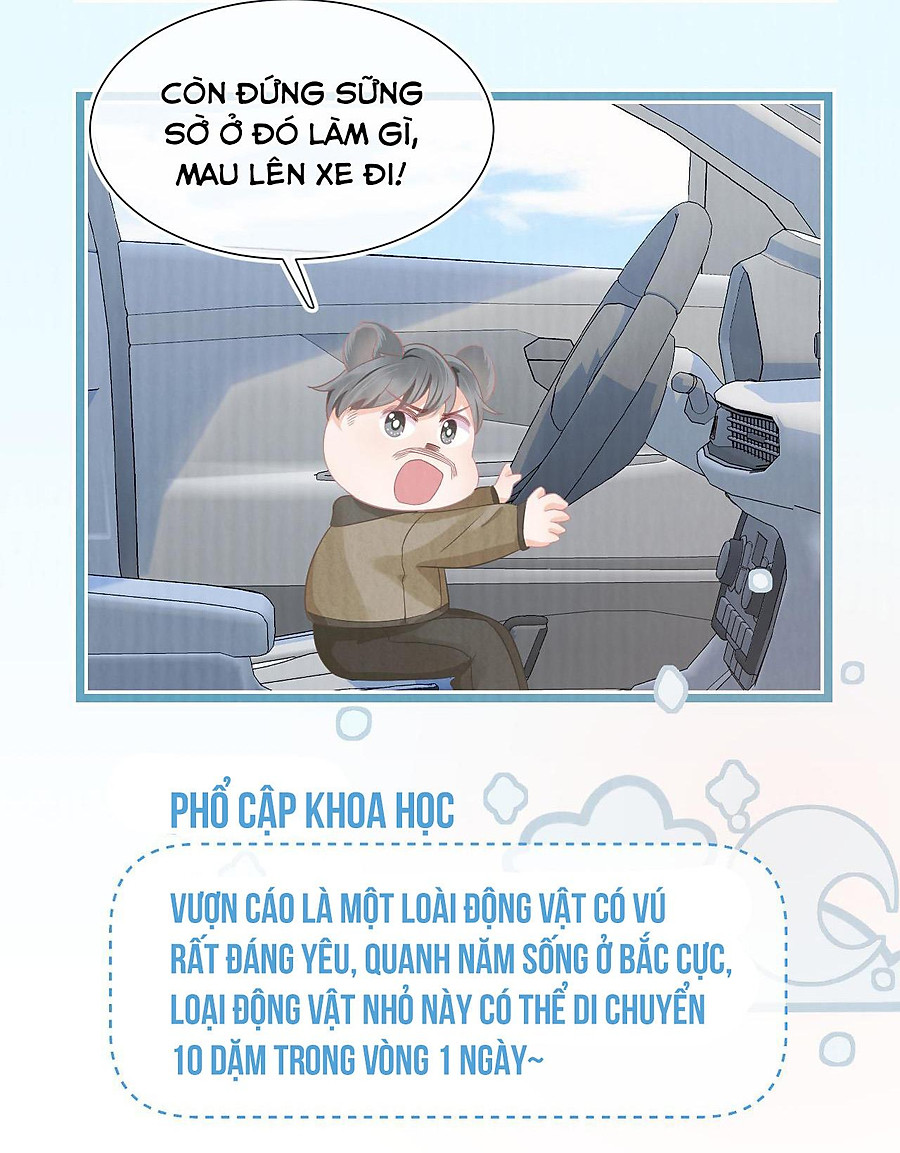 [ss2] một ngụm ăn cả thỏ con chapter 0 73