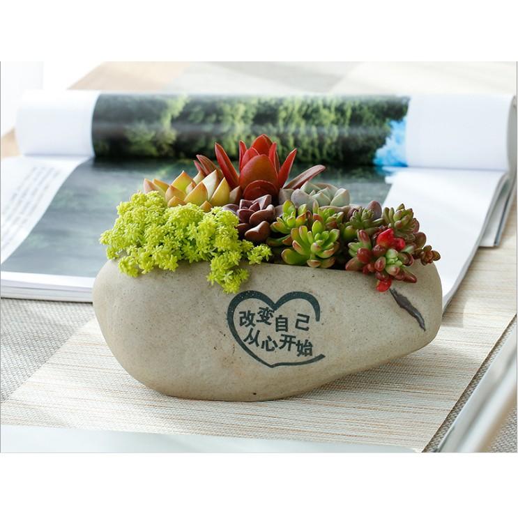 Chậu gốm trồng cây, trồng tiểu cảnh, bonsai